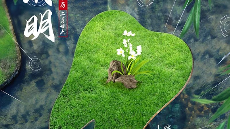 全瓷牙，究竟贵在哪？揭秘全瓷牙报价单背后的秘密**